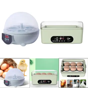 Инкубатор за яйца, тава за превръщането на яйца, Контрол на температурата Излюпването гъсета