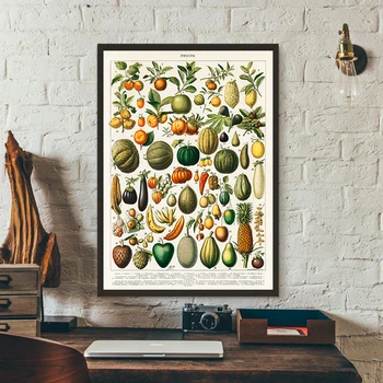 Плакат с винтажными плодове, античен ботаническата модул за обучение плакат на платно с изображение на оранжеви гъби, монтиране на изкуството за домашен интериор