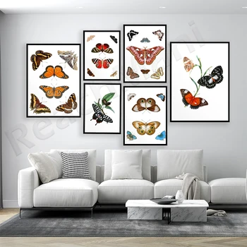 Платно в скандинавски ретро-стил, плакат с пеперуди и насекоми, стенни живопис в хола, коридора, стенни картини за декорация на дома.