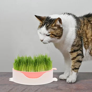 Сеялка за котешка трева Потребителска Кутия за засаждане на билки Развъдник Котешка трева Гидропонный калъф Fresh за котки